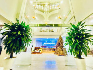 Khai trương khách sạn The Nha Trang Business Hotel