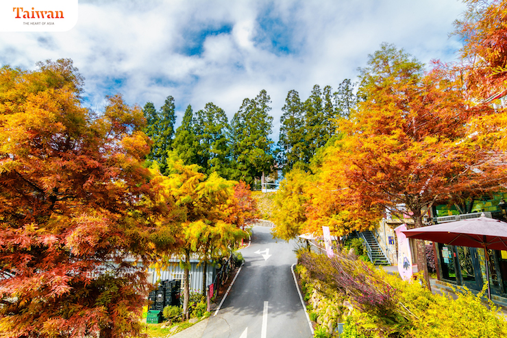 Đi tìm phong vị mùa thu của Đài Loan - 1