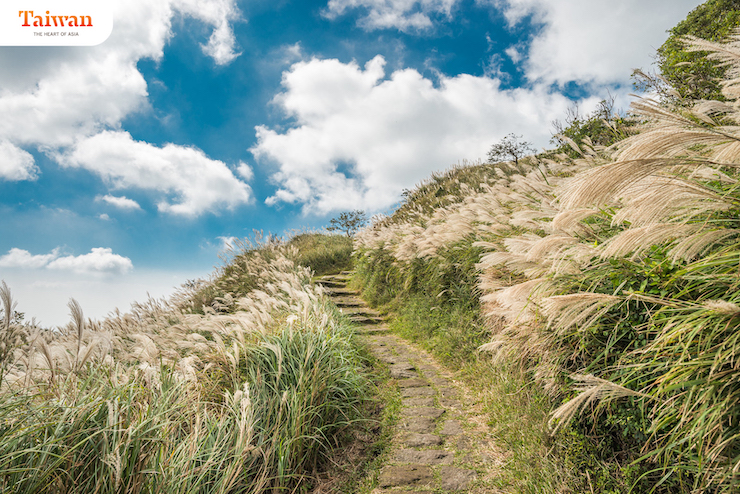 Đi tìm phong vị mùa thu của Đài Loan - 2