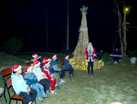  - Cây thông Noel dân dã bằng ngô, bằng gỗ ở Tuyên Quang