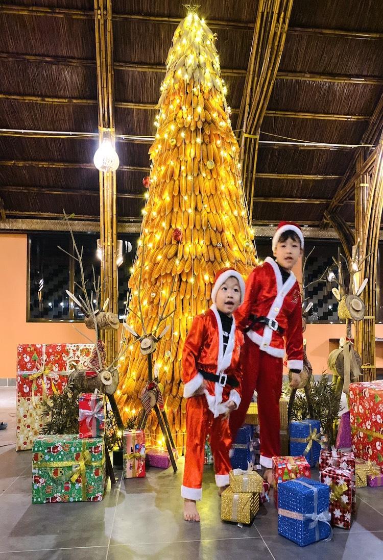 Cây thông Noel dân dã bằng ngô, bằng gỗ ở Tuyên Quang - 3