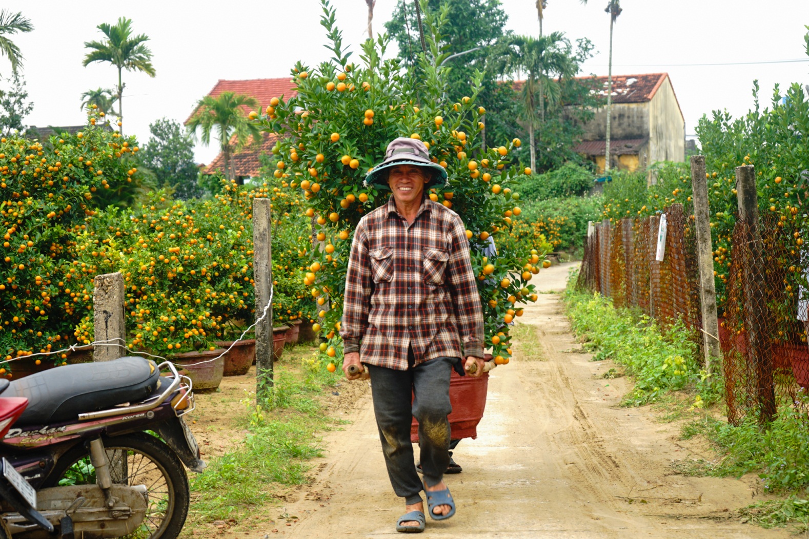 thu phu quat kieng mien trung hoi ha vu tet - 7