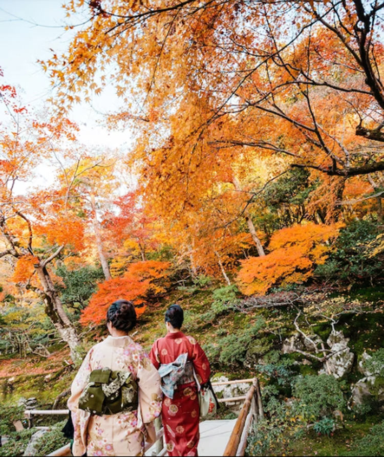 Mùa ngắm lá thu ở Kyoto - 7