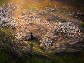 Nhiếp ảnh gia người Việt thắng lớn cuộc thi quốc tế