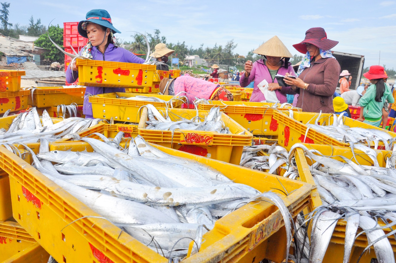 Bình Sơn xây dựng thương hiệu quê hương “giàu đẹp, văn minh, nghĩa tình” - 15