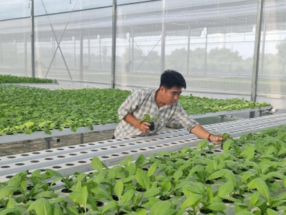 Chuyện hay - Sản xuất rau sạch công nghệ cao, HTX Tuấn Ngọc nhận Danh hiệu 63 HTX tiêu biểu Việt Nam