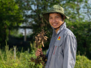 Bơ đậu phộng OCOP tăng giá trị nông sản bền vững