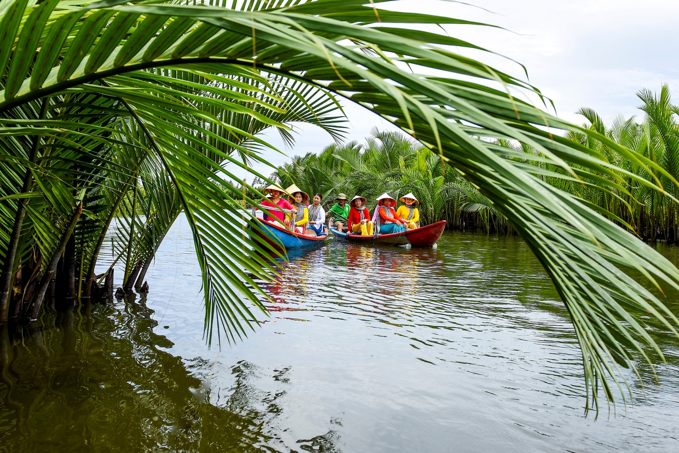 Khám phá rừng dừa nước xanh mướt trong lòng thành phố Quảng Ngãi - 2