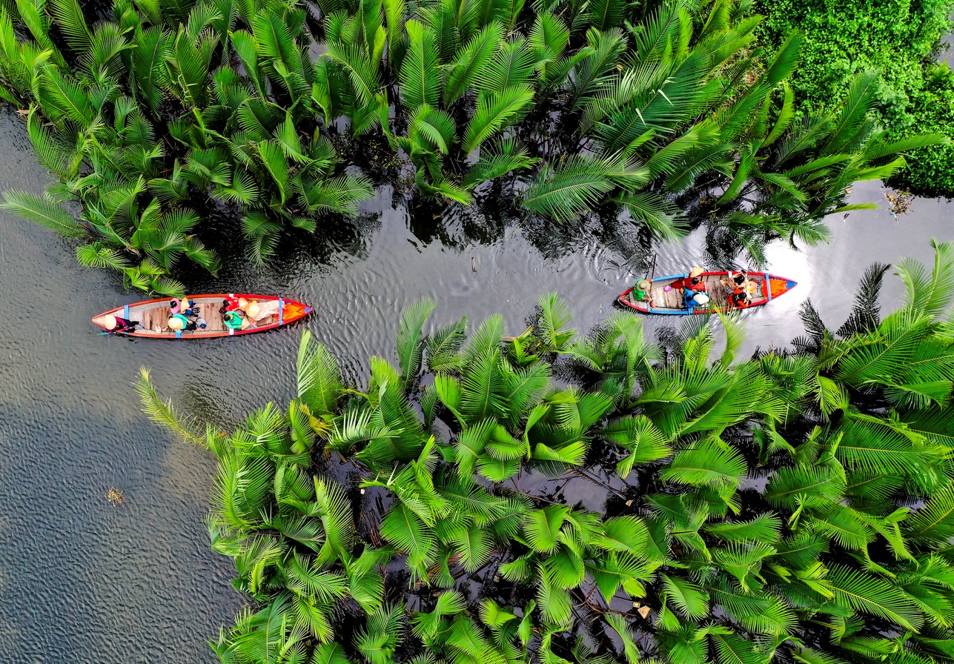 Khám phá rừng dừa nước xanh mướt trong lòng thành phố Quảng Ngãi - 7
