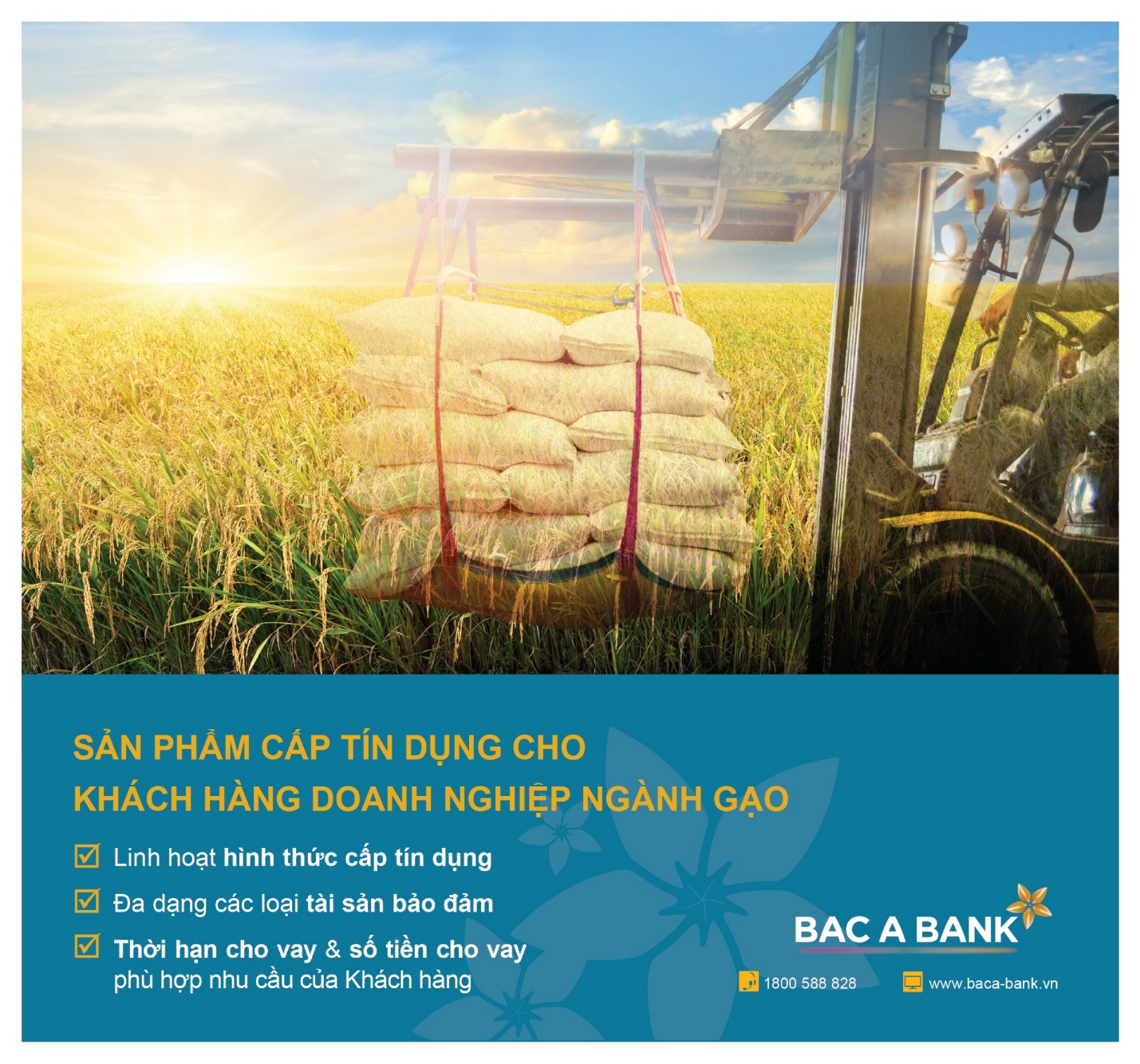 Doanh nghiệp ngành gạo đón ‘trợ lực’ từ Bac A Bank - 2