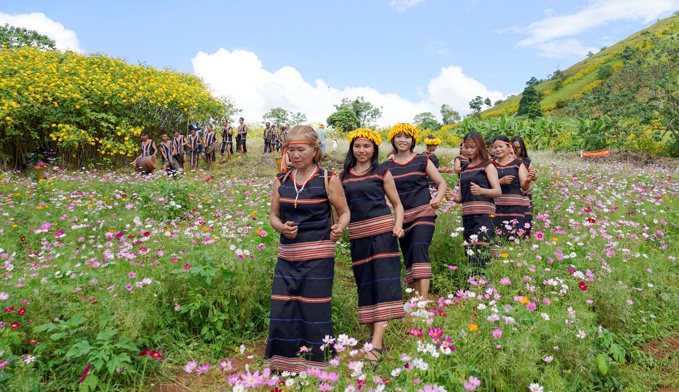 Mùa hoa dã quỳ bên núi lửa cổ Chư Đăng Ya mê hoặc du khách - 5