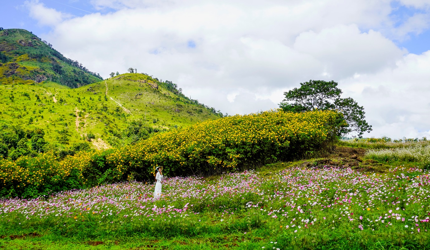 Mùa hoa dã quỳ bên núi lửa cổ Chư Đăng Ya mê hoặc du khách - 16