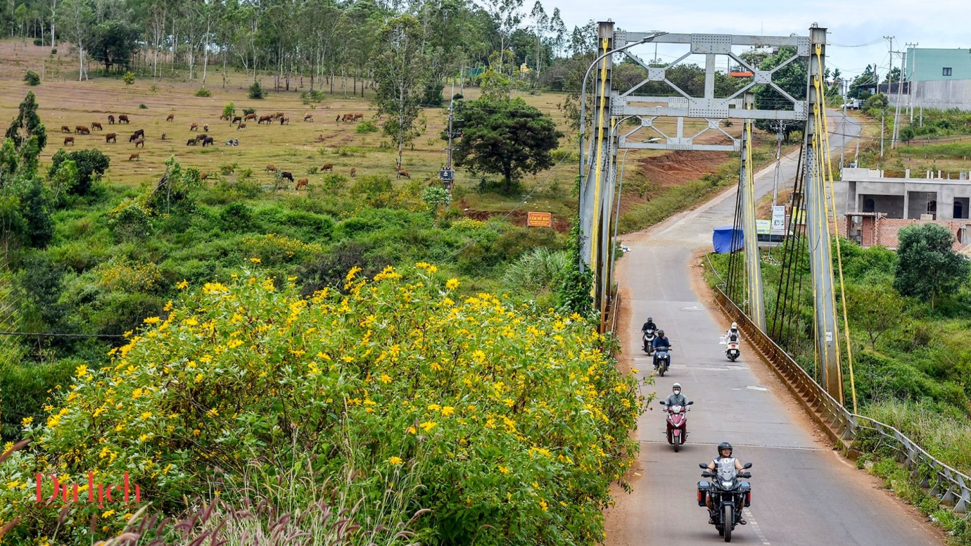 ‘thien duong song ao’ giua mua hoa da quy ruc vang gia lai - 3