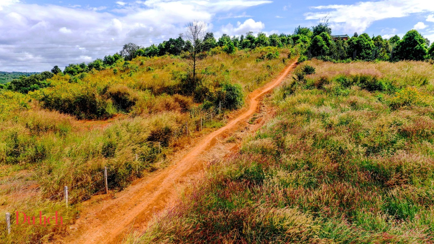 ‘thien duong song ao’ giua mua hoa da quy ruc vang gia lai - 4