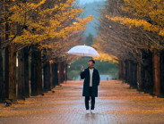 Du khảo - Fukushima ngày trở lại: Sắc thu đỏ thẫm ấm áp tình người