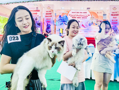 Lễ hội - Hàng trăm 'hoàng thượng' tranh tài tại ngày hội thú cưng Suối Tiên