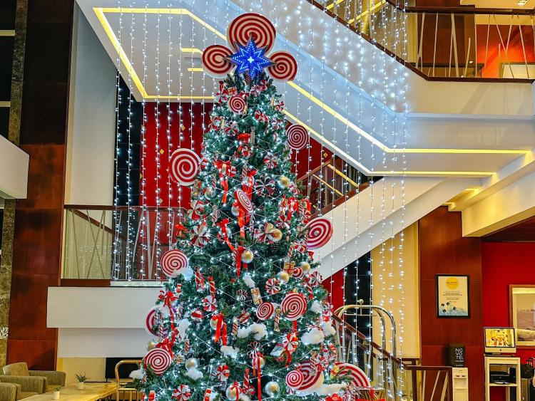 Novotel Nha Trang thắp sáng cây thông Noel
