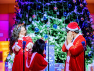 30 em bé làng trẻ nhân ái thắp sáng cây thông Noel