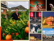 Ehime - Vùng thôn quê Nhật Bản khoác áo thu đẹp mê hồn