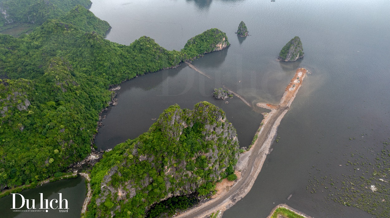 vu du an san lap vinh ha long: xac dinh ro ranh gioi vung dem bao ve di san - 1