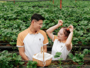 Đặc sản Đà Lạt đạt kỷ lục châu Á có gì lạ?