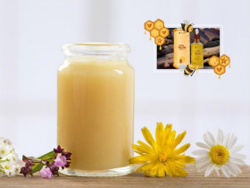  - Sữa ong chúa, trầm hương - thần dược cho sức khoẻ