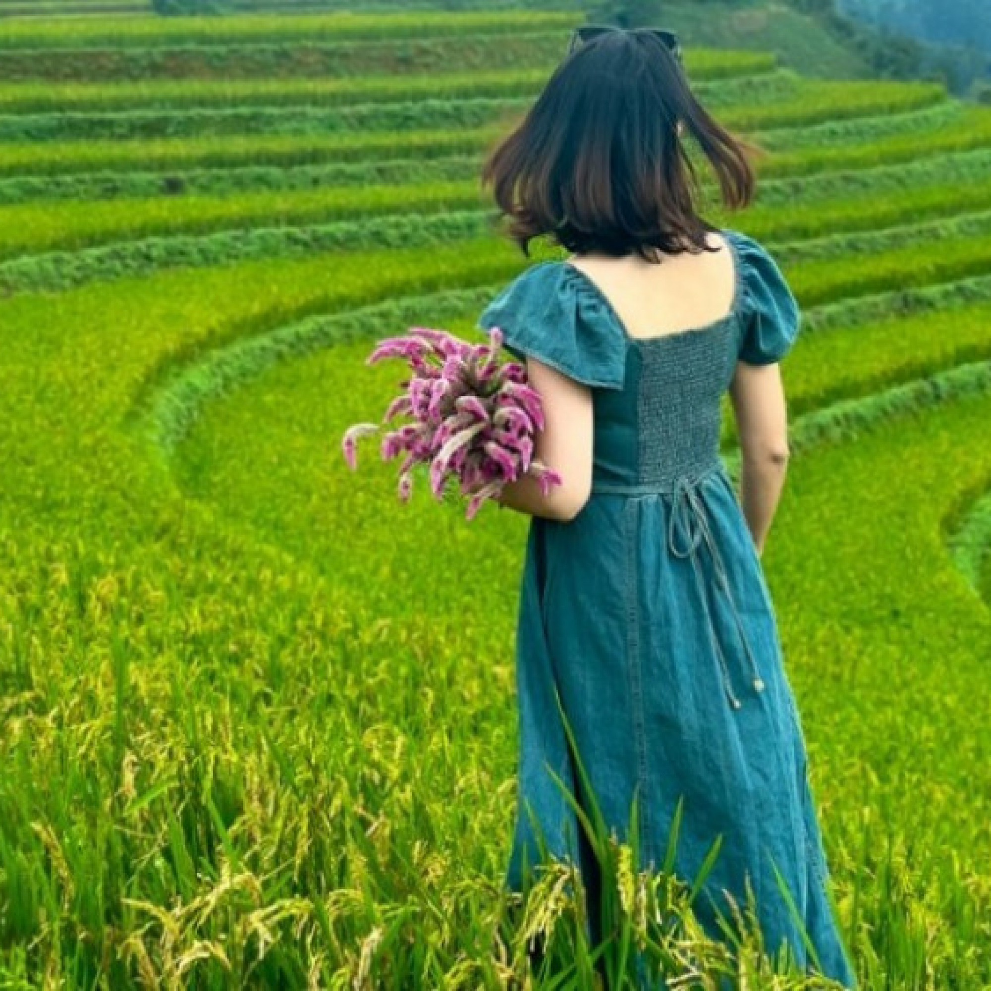 Điểm đến - Ngắm vẻ đẹp siêu thực của Mù Cang Chải dưới chân dãy Hoàng Liên Sơn hùng vĩ