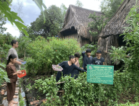  - Độc đáo du lịch tuần hoàn tại TP.HCM, chủ tự làm vườn nông sản xanh mướt