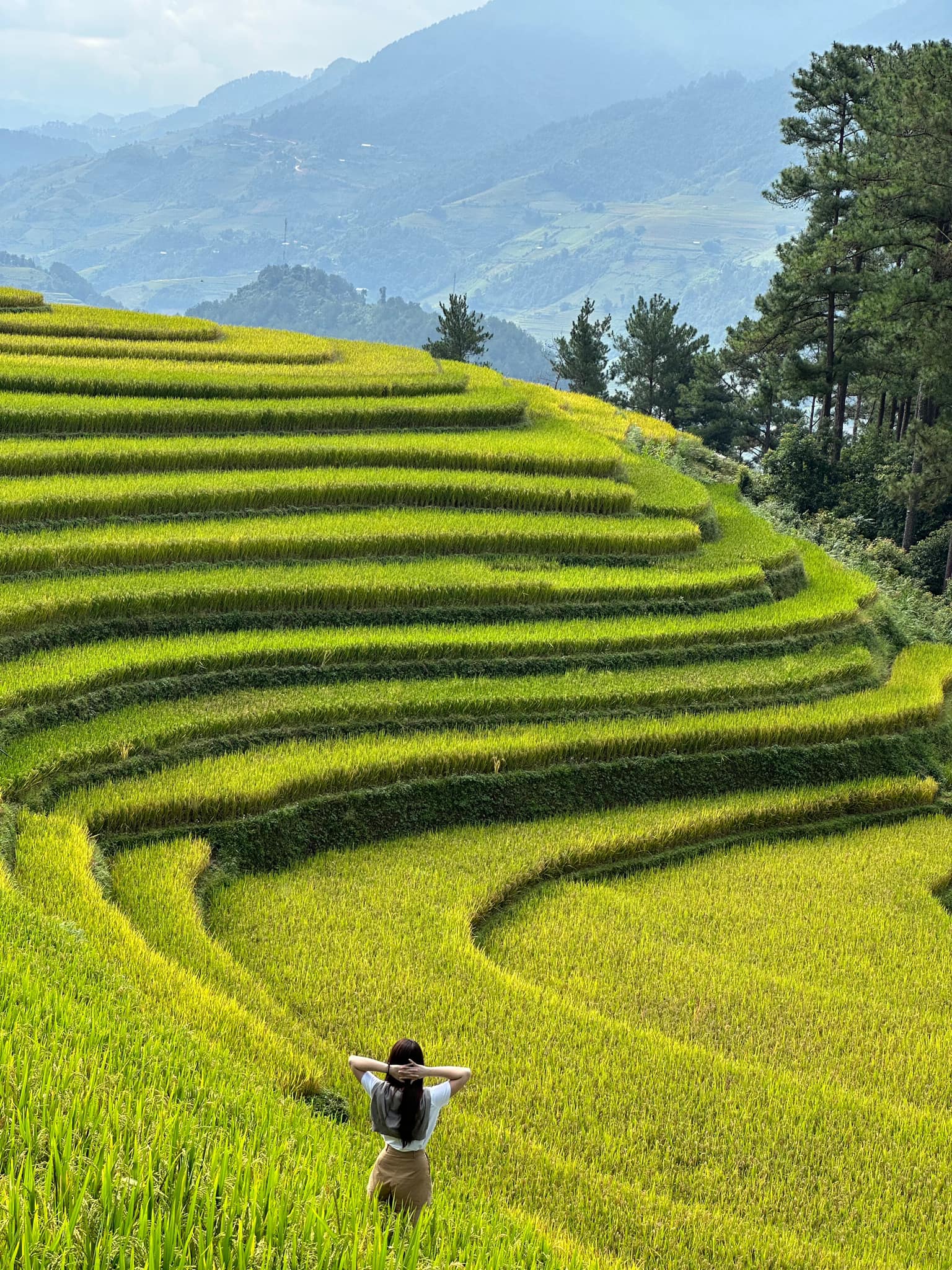 Ngắm vẻ đẹp siêu thực của Mù Cang Chải dưới chân dãy Hoàng Liên Sơn hùng vĩ - 6