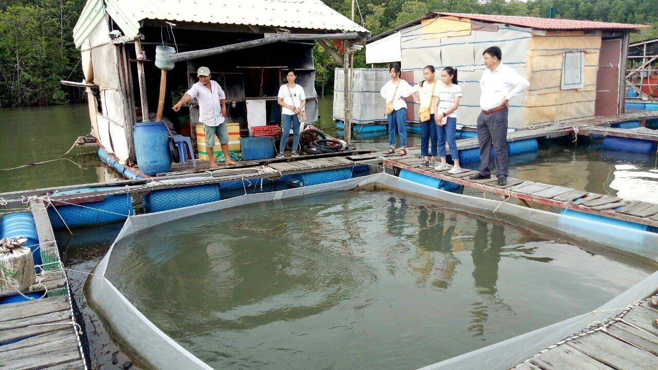 TP.HCM tôn vinh 17 nông dân tiêu biểu năm 2024 - 1