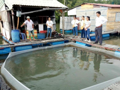 Chuyện hay - TP.HCM tôn vinh 17 nông dân tiêu biểu năm 2024