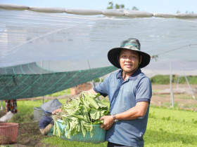  - Huyện Nhà Bè: Thế hệ nông dân mới tiên phong trong chuyển đổi số nông nghiệp