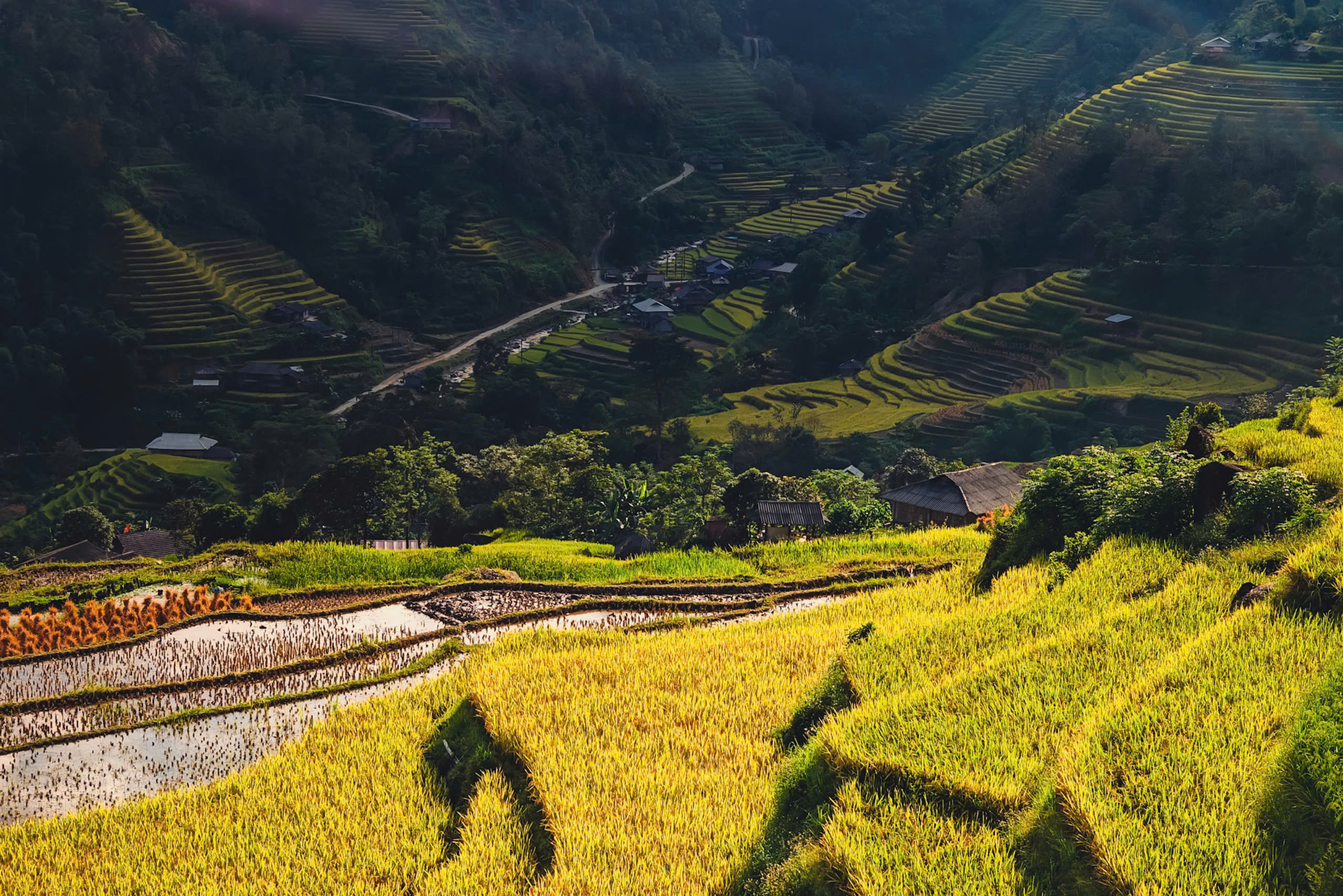 ‘say tinh’ nu cuoi cho phien sin cheng - 1