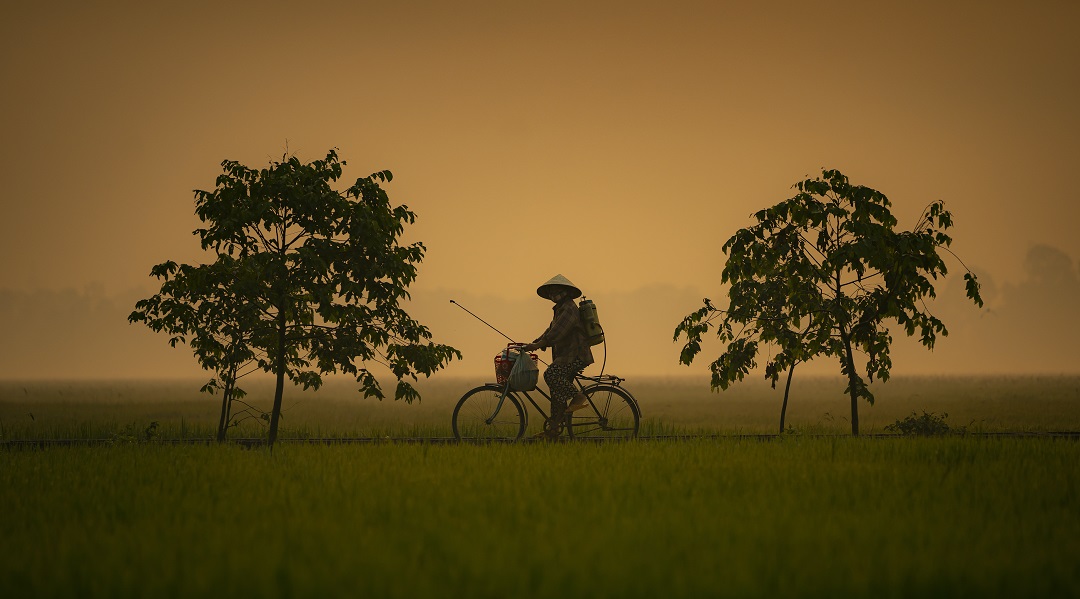 quang ba net dep dia phuong: nhung buc anh mien que lam thon thuc trai tim du khach - 14