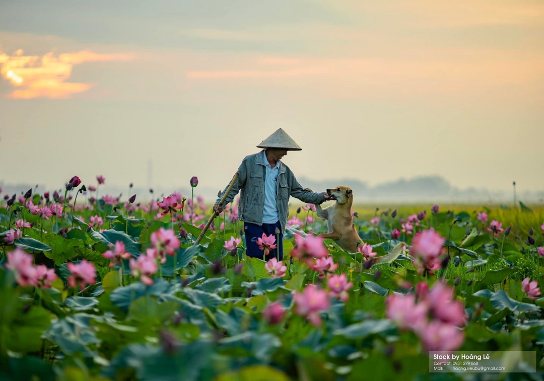 quang ba net dep dia phuong: nhung buc anh mien que lam thon thuc trai tim du khach - 19