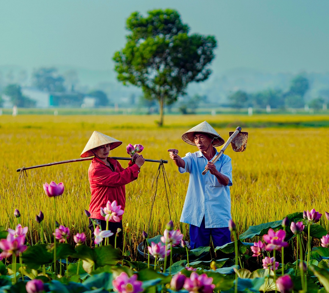 quang ba net dep dia phuong: nhung buc anh mien que lam thon thuc trai tim du khach - 18