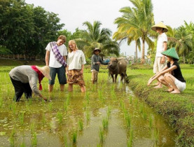  - Mỏ vàng du lịch sáng tạo Việt Nam cần một cú hích lớn