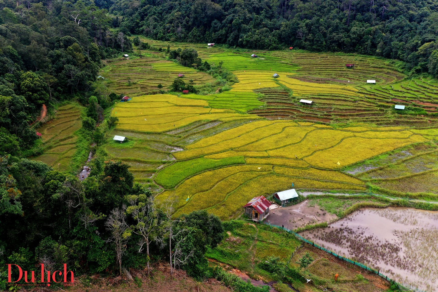 me man ruong bac thang chin vang giua nui rung mang den - 8