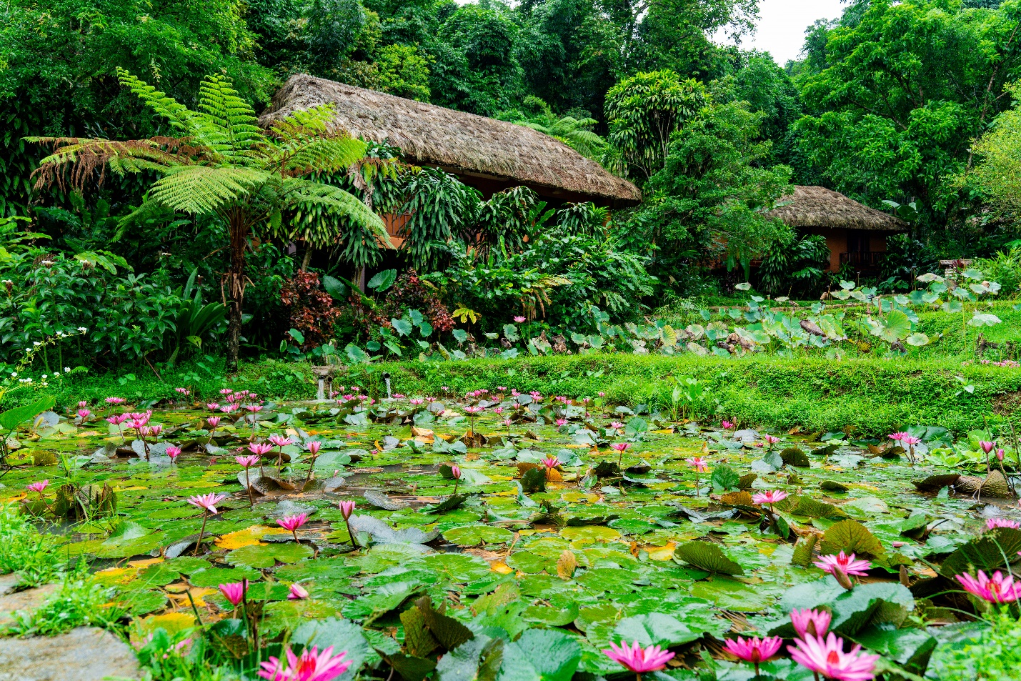 Panhou Retreat - Hành trình kiên định giữa đại ngàn di sản Hà Giang - 3