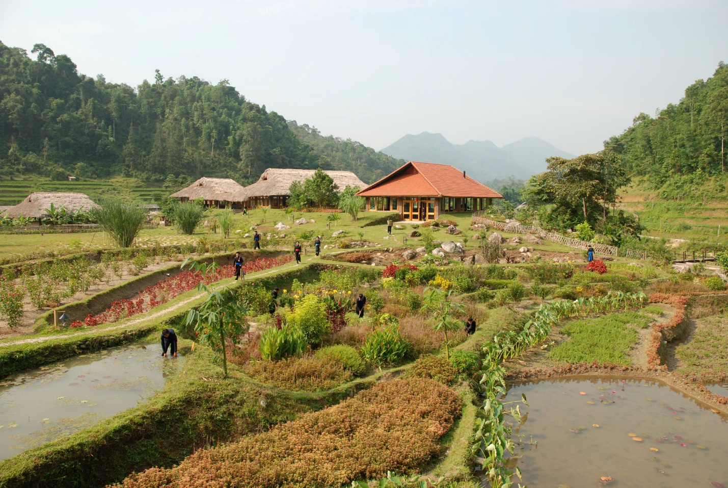 Panhou Retreat - Hành trình kiên định giữa đại ngàn di sản Hà Giang - 2