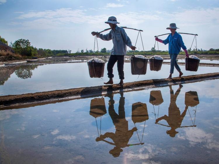 Phát triển du lịch nông thôn từ làng nghề muối Lý Nhơn