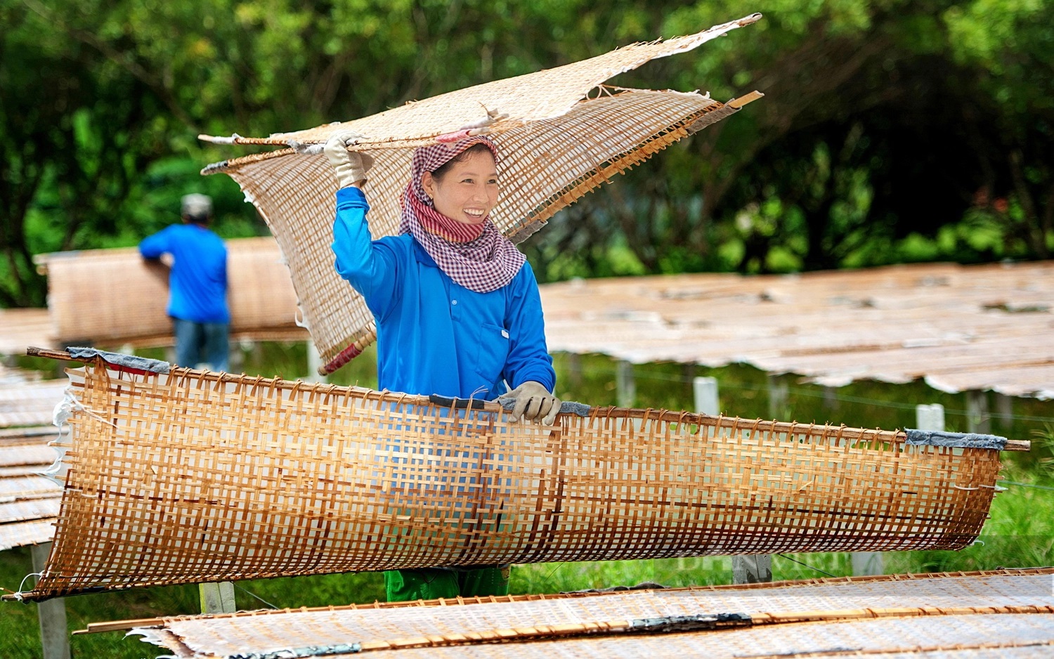 Nghề làm bánh tráng Phú Hòa Đông được tôn vinh - 1