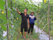 Hồi sinh từ xơ mướp: Cú lội ngược dòng của người nông dân trước bờ vực bỏ nghề