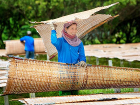  - Nghề làm bánh tráng Phú Hòa Đông được tôn vinh