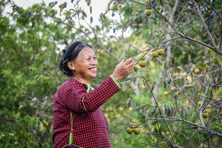 Mê mẩn sản vật xứ Lạng - 2