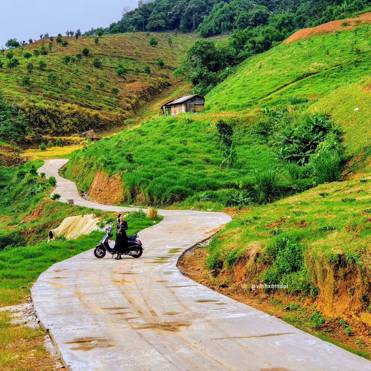 Đến Bảo Lộc nghe suối chảy, ngắm biển mây và cây lá đỏ mùa thay lá - 13