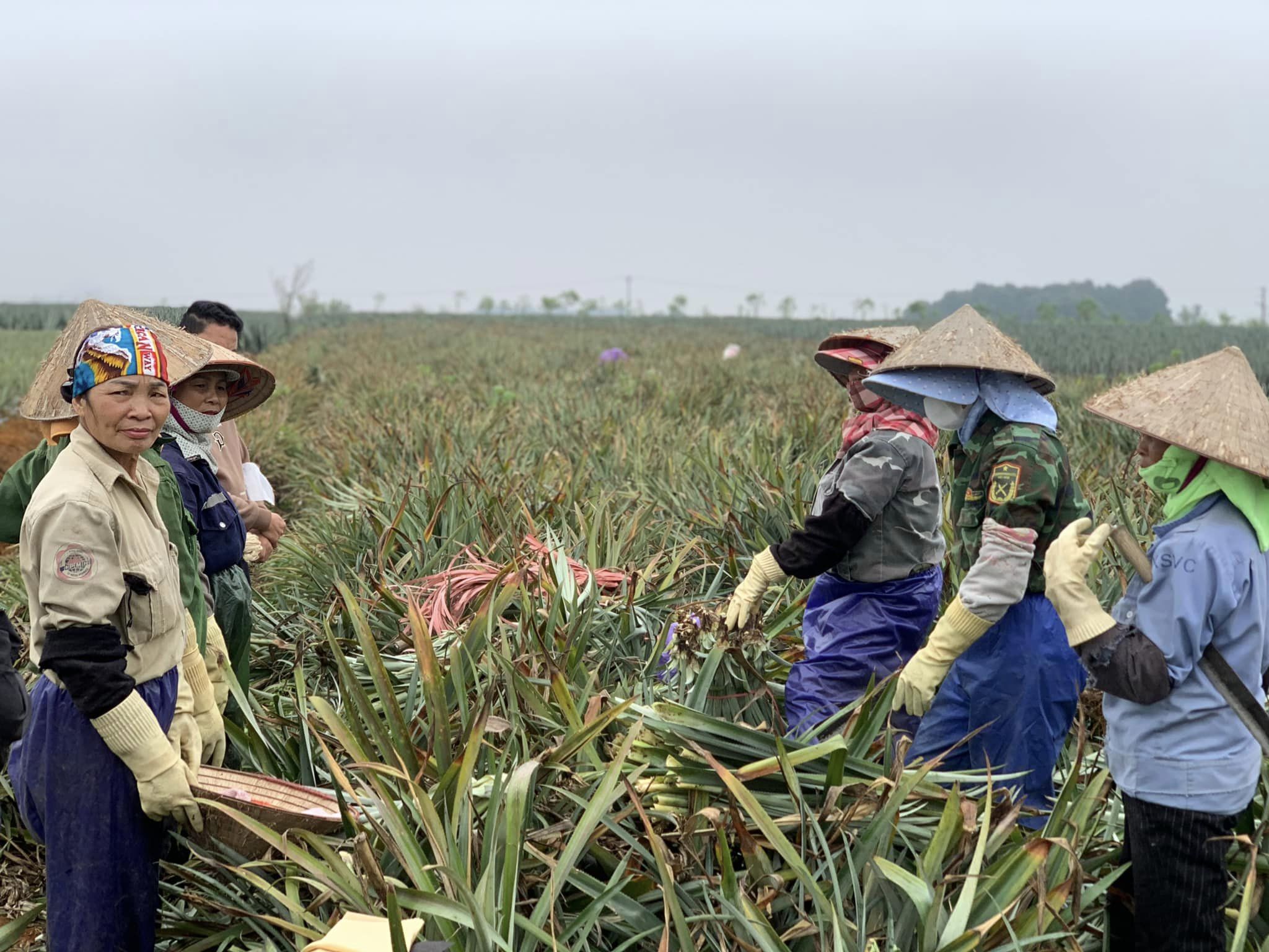 Biến lá dứa thành vải đầu tiên tại Việt Nam: Hành trình từ farm đến fashion của “Founder nông dân” 32 tuổi - 4