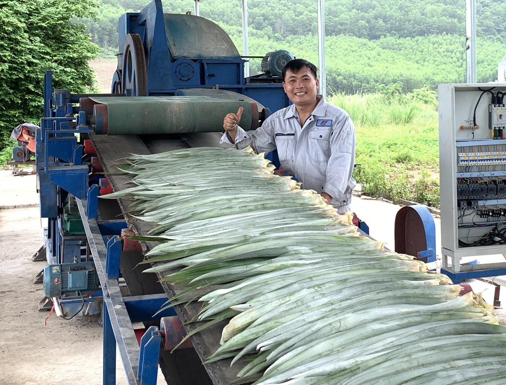 Biến lá dứa thành vải đầu tiên tại Việt Nam: Hành trình từ farm đến fashion của “Founder nông dân” 32 tuổi - 6