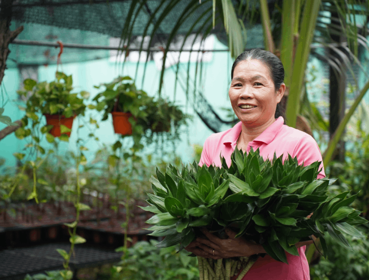 Nữ nông dân khởi nghiệp trồng phát tài búp sen, bán hàng nghìn cây mỗi ngày