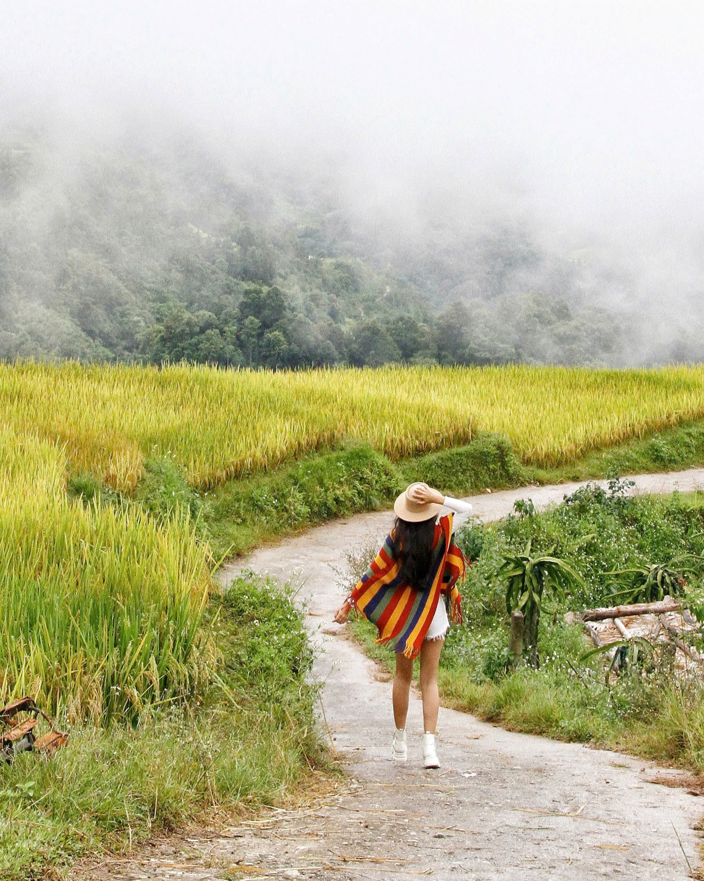 rong ruoi khap chon, kham pha ve dep manh dat ‘da no hoa’ - 3